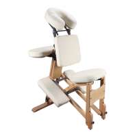 Foldable Massage Chair  Light Weight hydraulic Tattoo Chair FY-001